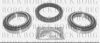 BORG & BECK BWK767 Wheel Bearing Kit